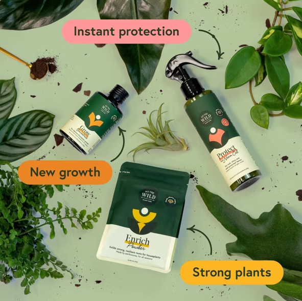 Houseplant Care Essential Kit With Organic Growth Solutions