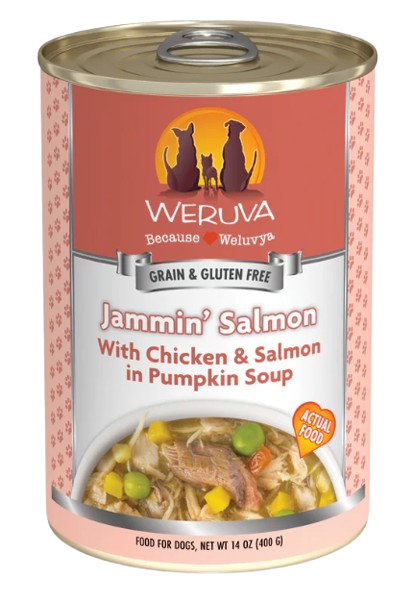Weruva Classic Dog  Jammin' Salmon Chicken & Salmon in Pumpkin Soup Canned Dog Food