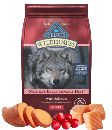 Blue Buffalo Wilderness Salmon with Wholesome Grains Recipe Dry Dog Food