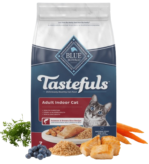 Blue Buffalo Indoor Health Natural Salmon & Brown Rice Adult Dry Cat Food