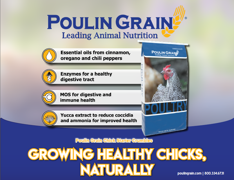 Poulin Grain Gamebird Starter/Grower Crumble