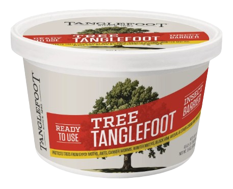 Tree Tanglefoot Insect Barrier, 15oz tub