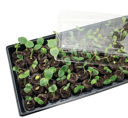 Jiffy® Seed Starter® Greenhouse® Kit