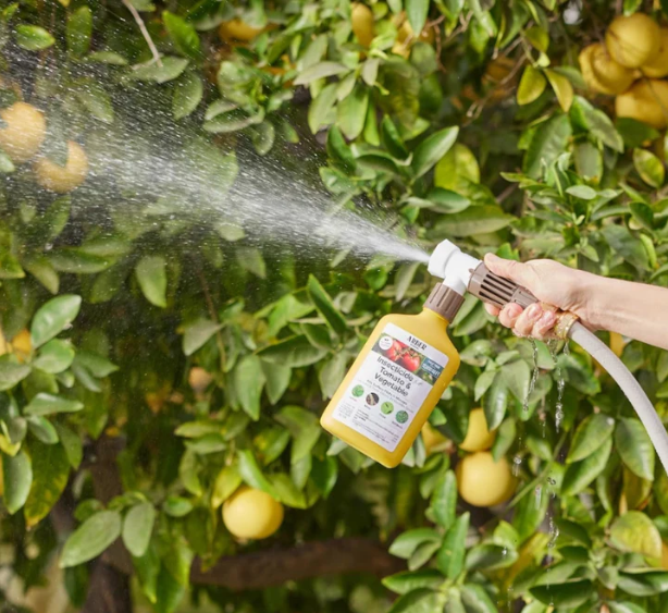 Arber Organic Insecticide for Tomato & Vegetable, 16oz Ready-To-Spray Hose End