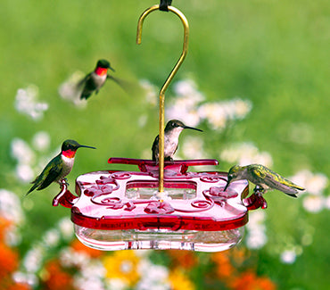 Square Hummingbird Feeder
