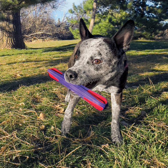 KONG Duets Duos Stick Dog Toy, Large