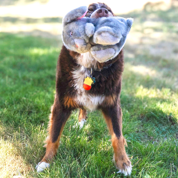 KONG Toughz Bunny, Medium Dog Toy