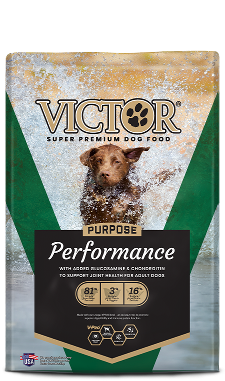Victor Purpose Performance Dry Dog Food, Beef