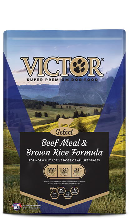 Victor Beef Meal & Brown Rice Formula Dry Dog Food
