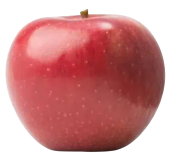 Apple, Winesap, 7 gal (5-7 ft)