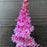Astilbe, Dark Side of the Moon Astilbe