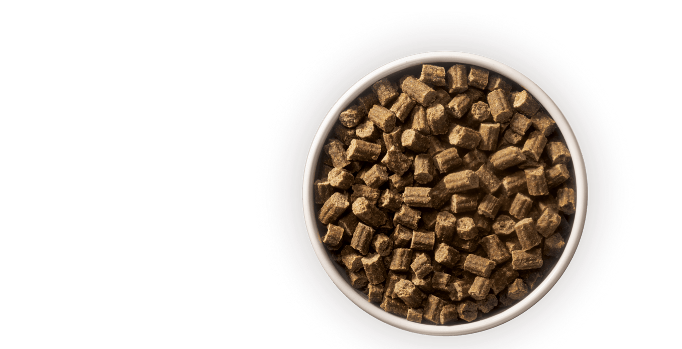 Earth Animal Wisdom Air-Dried Dog Food From the Land Recipe, 2lbs