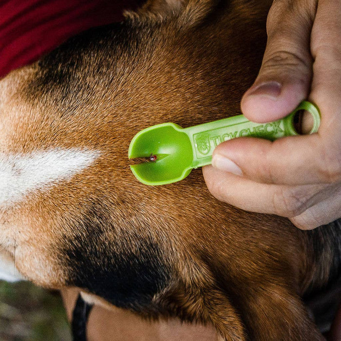TickCheck Tick Remover Spoon 3 Pack- 12pc Hang Strip Display