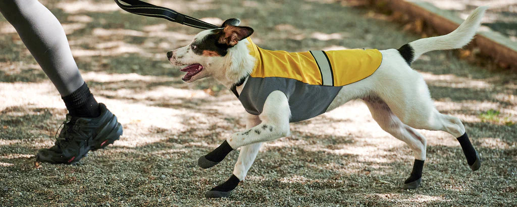 Amazon ruffwear boots 2025