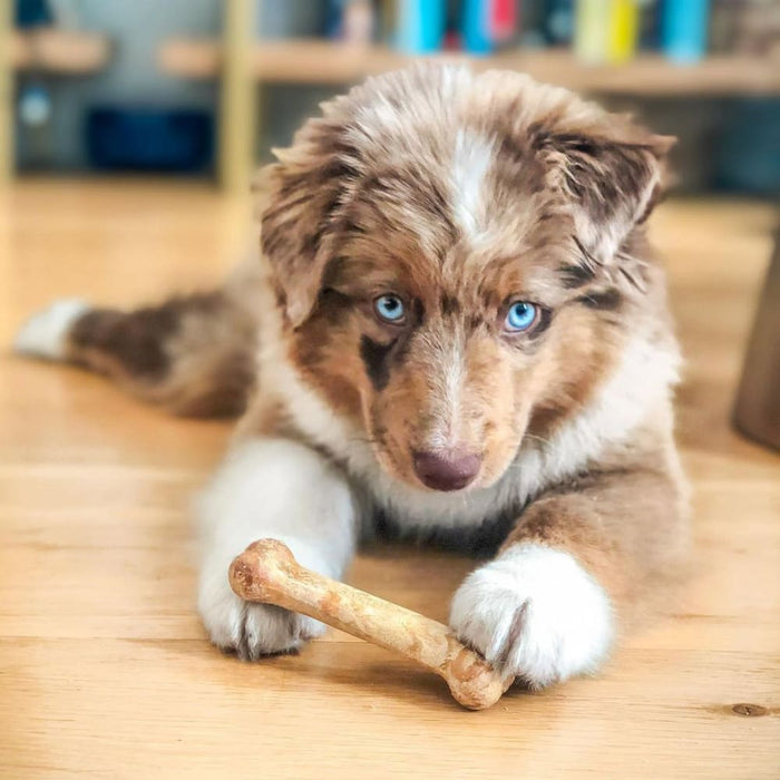 Nylabone Healthy Edibles All-Natural Long Lasting Puppy Chew Dog Treats