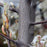 Serviceberry, Autumn Brilliance Shadblow Serviceberry