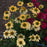Echinacea purpurea 'Mellow Yellows'  - Mellow Yellows Echinacea