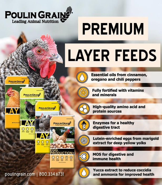 Poulin Grain Layer Pellet
