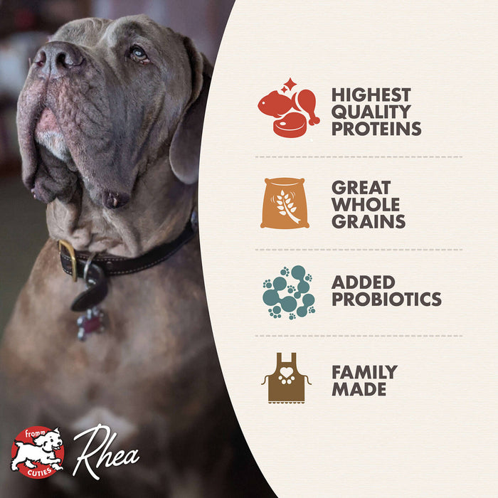 Fromm Classic Adult Large & Giant Breed Dry Dog Food