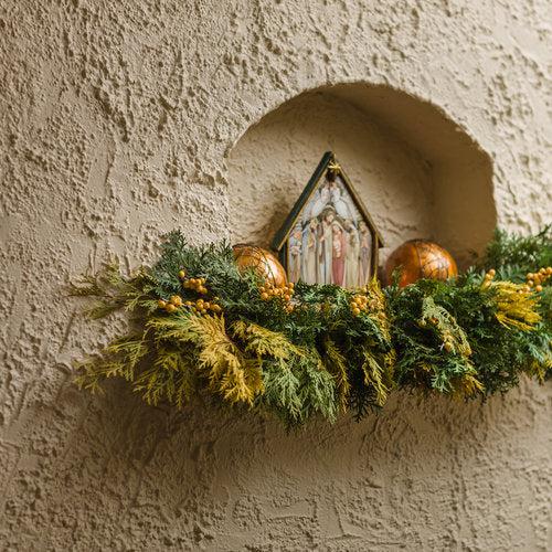 Thuja occidentalis 'Anna van Vloten' USPP 25,868  - Anna's Magic Ball® Arborvitae