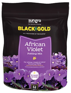 Black Gold African Violet Mix 8qt