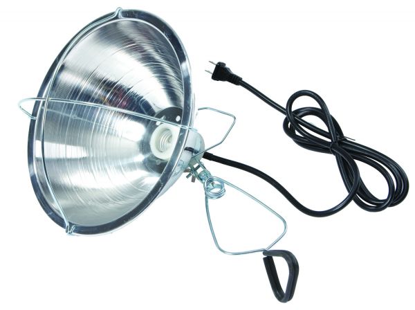 Brooder Reflector Lamp with Clamp
