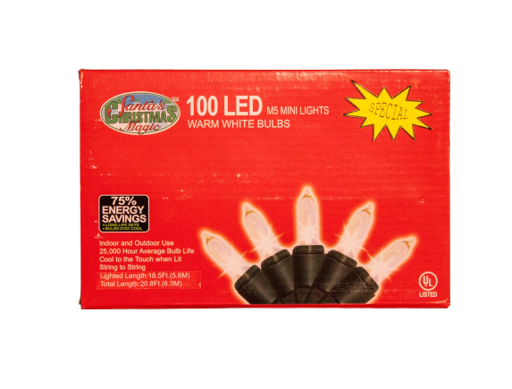 100 Mini LED Lights