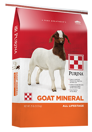 Purina Goat Mineral, 25 lb
