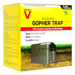 Black Box Gopher Trap