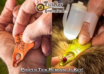 The TickKey Tick Remover
