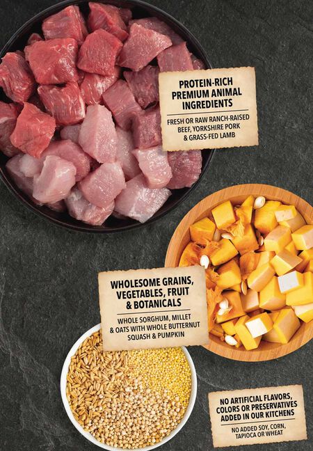 ACANA + Wholesome Grains Red Meat & Grains Recipe Dry Dog Food