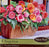 Picotee Bi-Color Mixture Begonia Bulbs