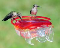 The Gem-Window Hummingbird Feeder
