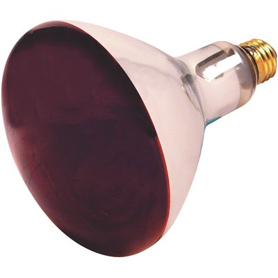 Red Heat Lamp Bulb 250w