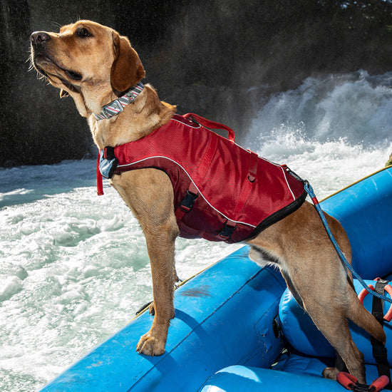 Kurgo Surf N Turf Life Vest & Jacket for Dogs - RED