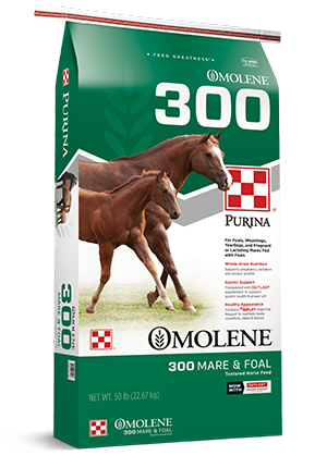 Purina Omolene 300 Growth Mare & Foal Horse Feed