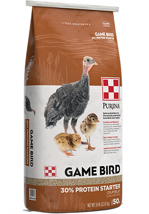 Purina® Startena Game Bird and Turkey Feed Starter/Grower Crumble