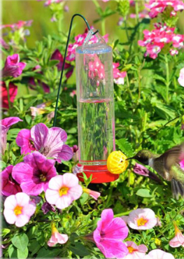 Hummingbird Feeder for Hanging Baskets and Planter Boxes