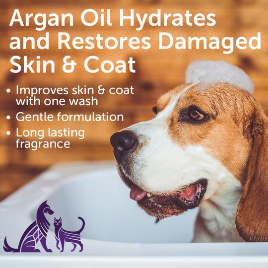 Nootie Restoring Argan Oil Pet Shampoo, Soft Lily Passion, 16oz