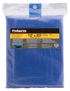 Tarp, Blue Polyethylene, 20"LX12"W, 5ml Thick