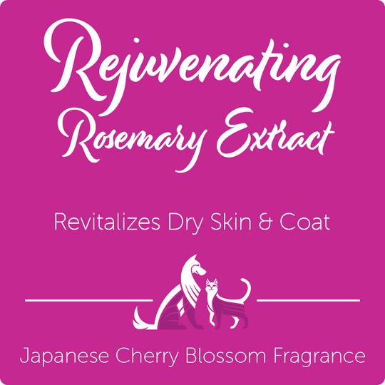 Nootie Rejuvenating Rosemary Extract Pet Shampoo, Japanese Cherry Blossom, 16oz