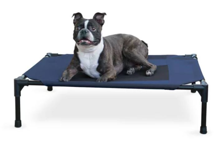 Elevated Pet Bed Navy Blue Medium 25 X 32 X 7 Inches