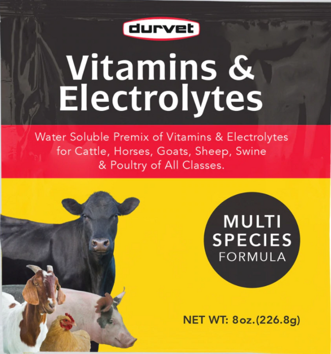 Vitamins & Electrolytes Daily Poultry Supplement