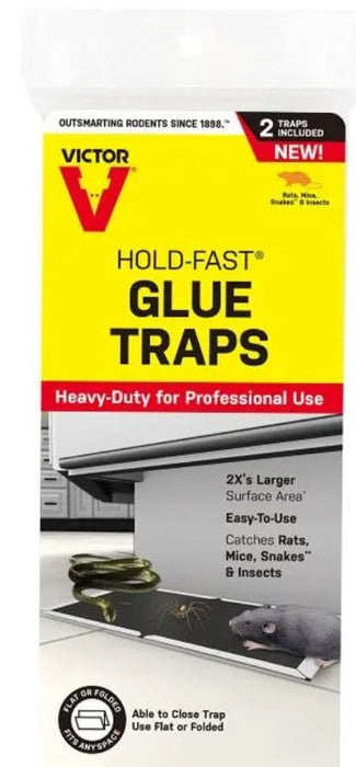 Hold-Fast Mouse Glue Board