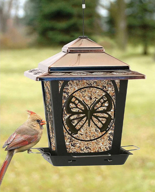 Hopper Style Bird Feeder with Butterfly Design, 3lb capacity