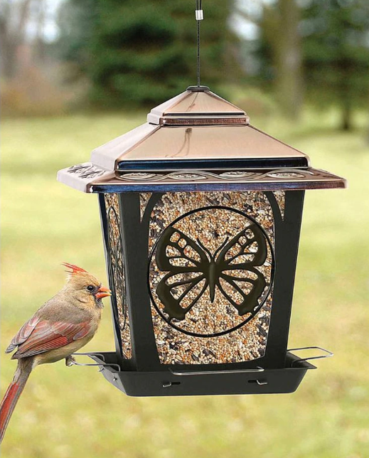 Hopper Style Bird Feeder with Butterfly Design, 3lb capacity