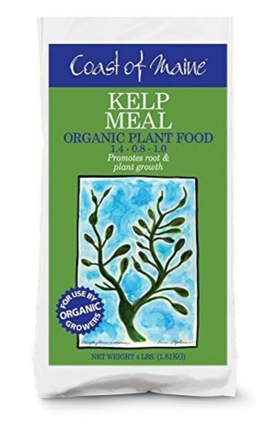 Coast of Maine Kelp Meal, All Purpose Organic Plant Food, 1-0-1, 4 lbs