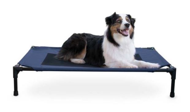 Elevated Pet Bed Navy Blue Medium 30 X 42 X 7 Inches