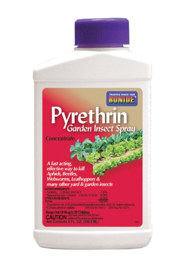 Bonide Pyrethrin Garden Insect Spray Concentrate