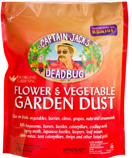 Captain Jack's Deadbug Brew